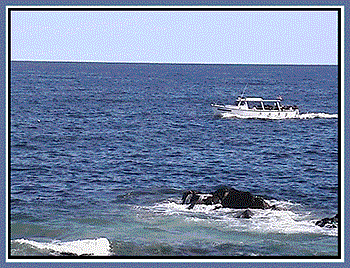 Viewing the Atlantic Ocean from the Marginal Way &copy; Page Makers, LLC